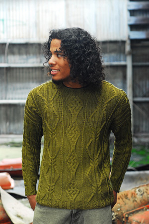 Sherrod Pullover